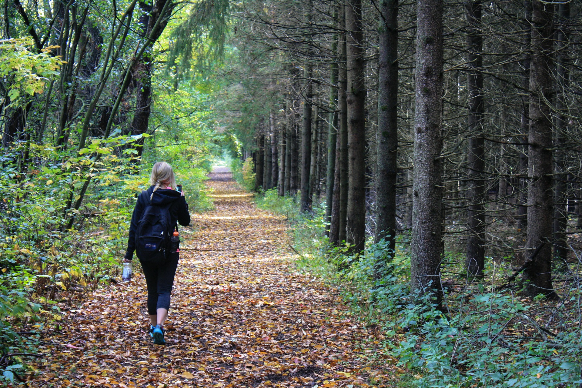 Wandelaar in het bos