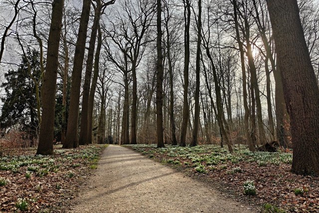 Wandelroute Landgoed Oostbroek Parkpad Parkpad