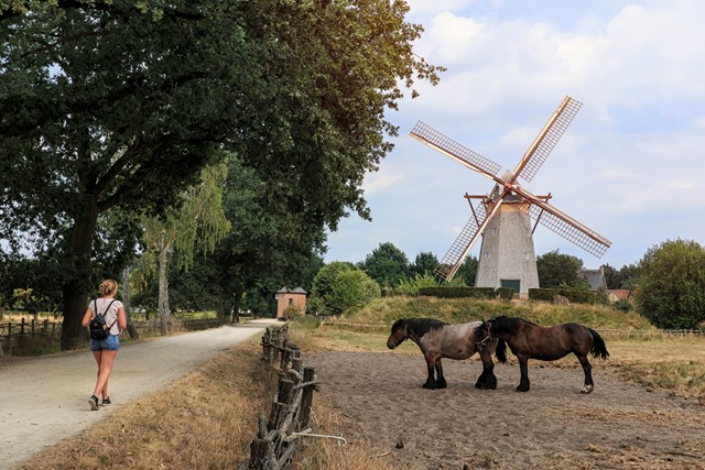 afbeelding van een wandelaar in Bokrijk