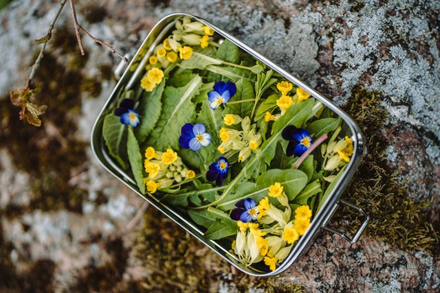 Maria Ilves Yelzxq VY7Y Unsplash