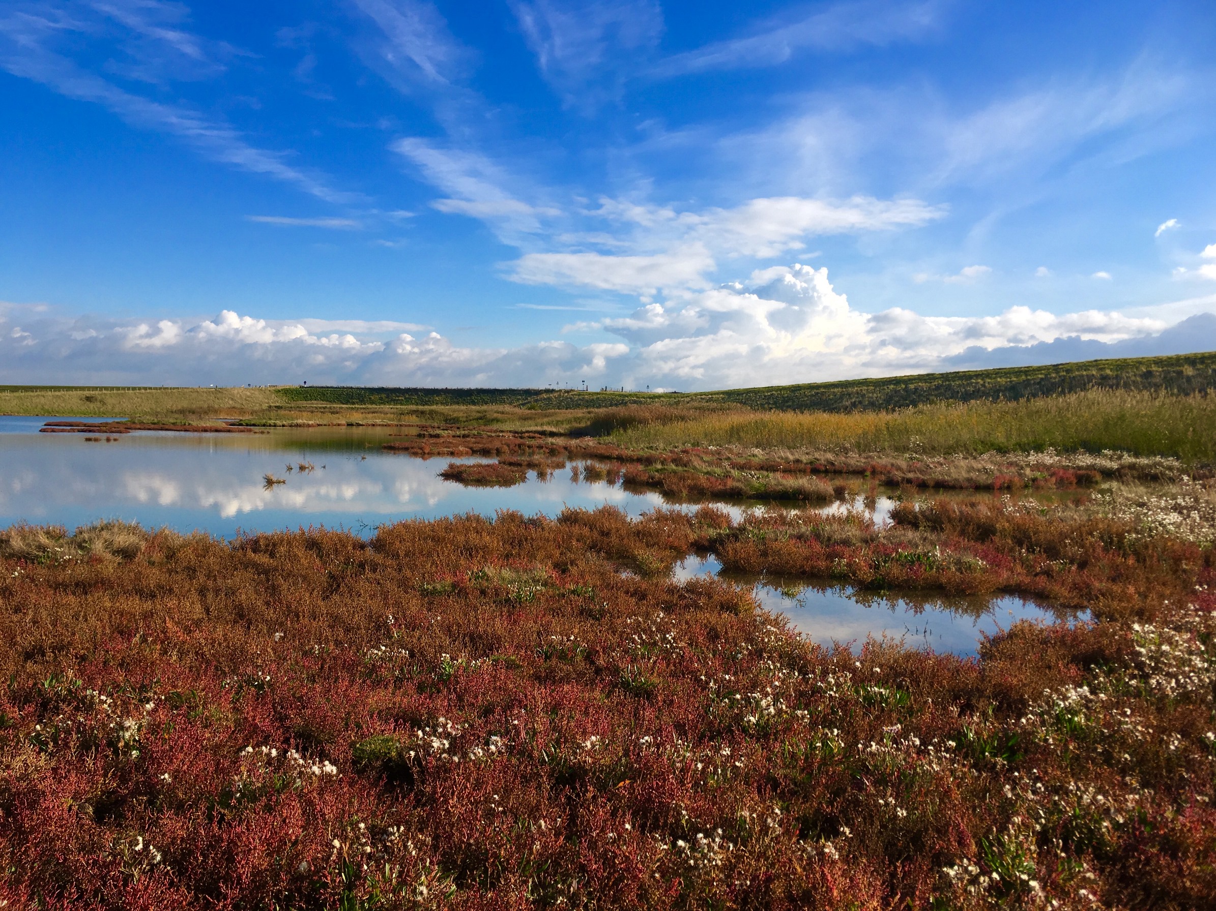 Wandelen in Nationaal Park Oosterschelde