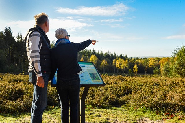 afbeelding van een stel dat uitkijkt over de heide met een informatiebord voor zich.