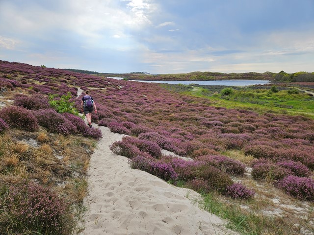 Op (Wandel)Roadtrip Door Nederland Roadsurfer (4)