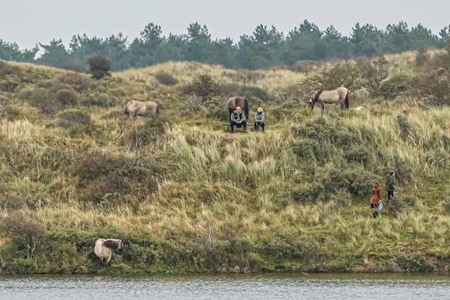 Wandelen In Nationaal Park Zuid Kennemerland Landgoederen