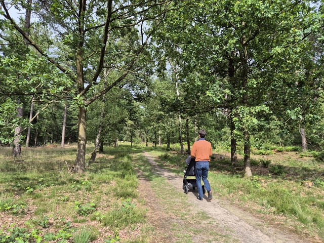 Wandelroutes Met Kinderwagen, Buggy (3)