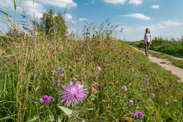 Agnes wandelt over een natuurpad met wilde bloemen.