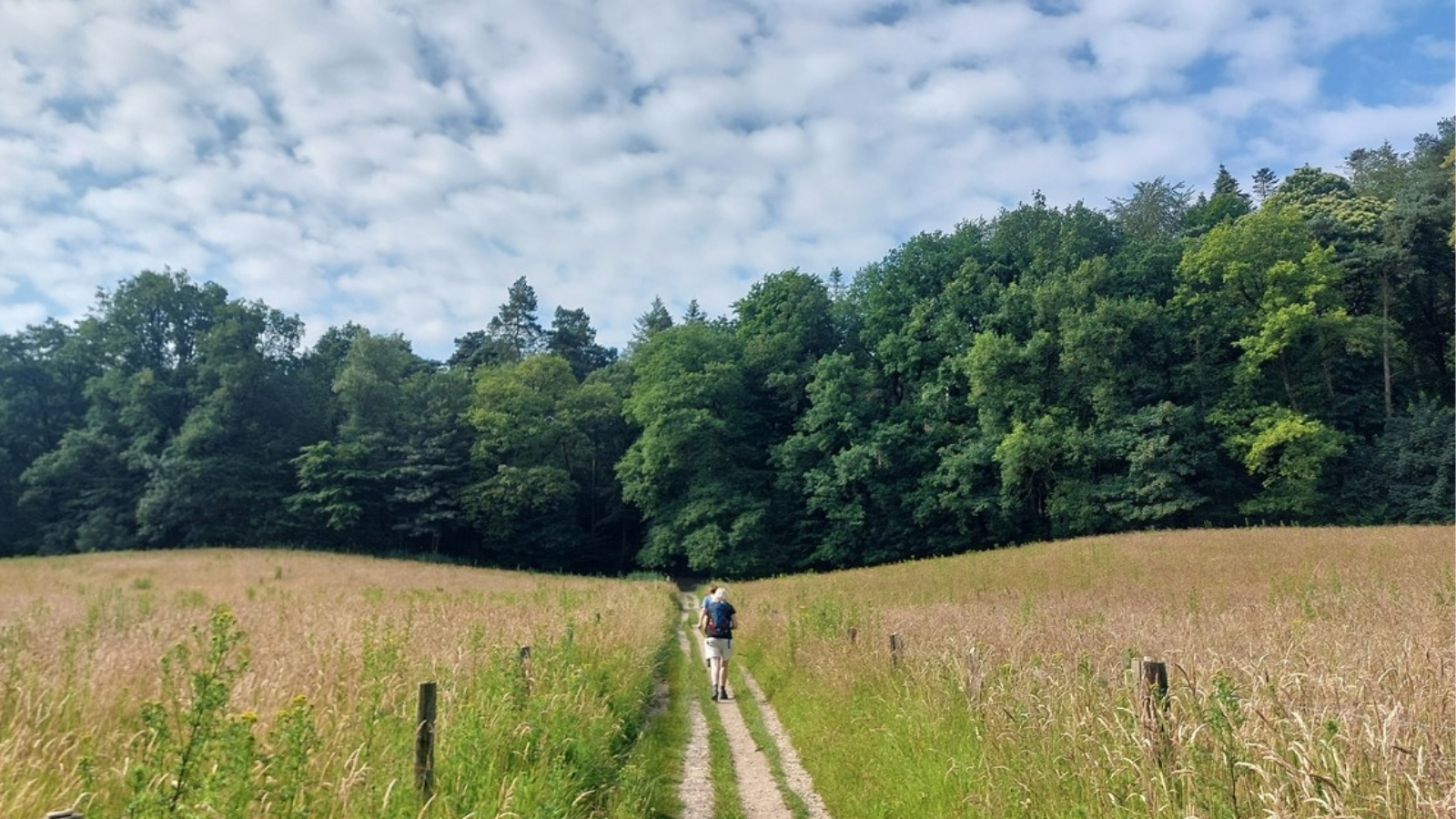 Zeven Hoogtepunten Van De Zevenheuvelenhike