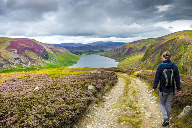 De Cairngorms Mountains