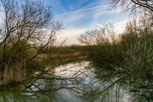 Het Knarbos