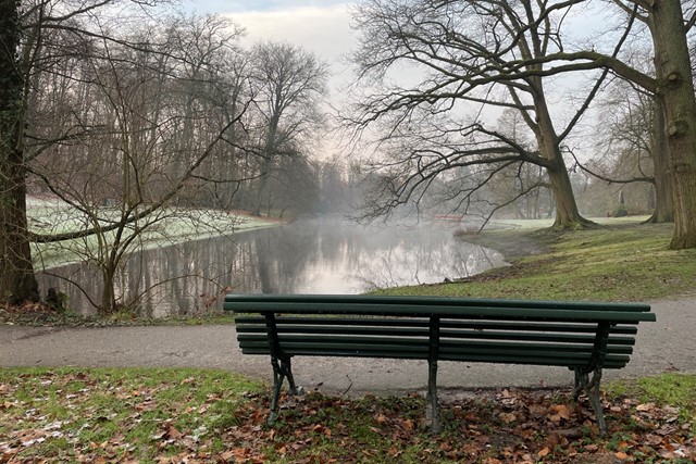 afbeelding van een wandelbankje in park Sonsbeek in Arnhem.