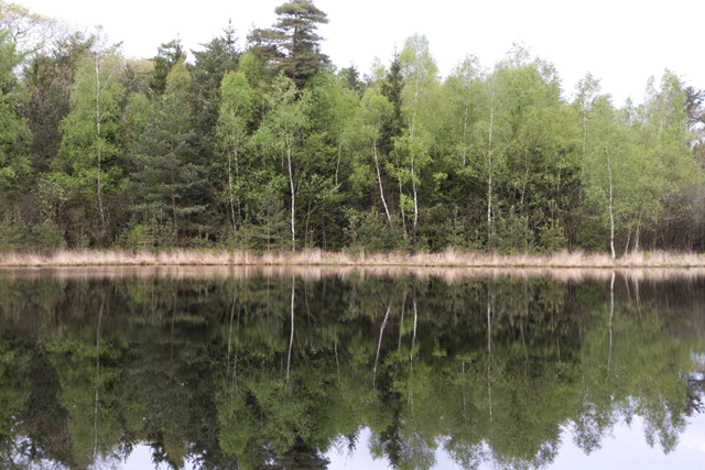 Wandelroute Veluwe Boswachterspad Kootwijk Kootwijkerveen