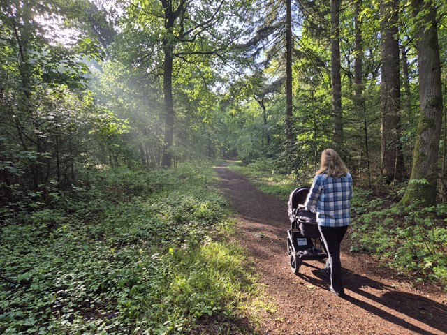 Wandelroutes Met Kinderwagen, Buggy (5)