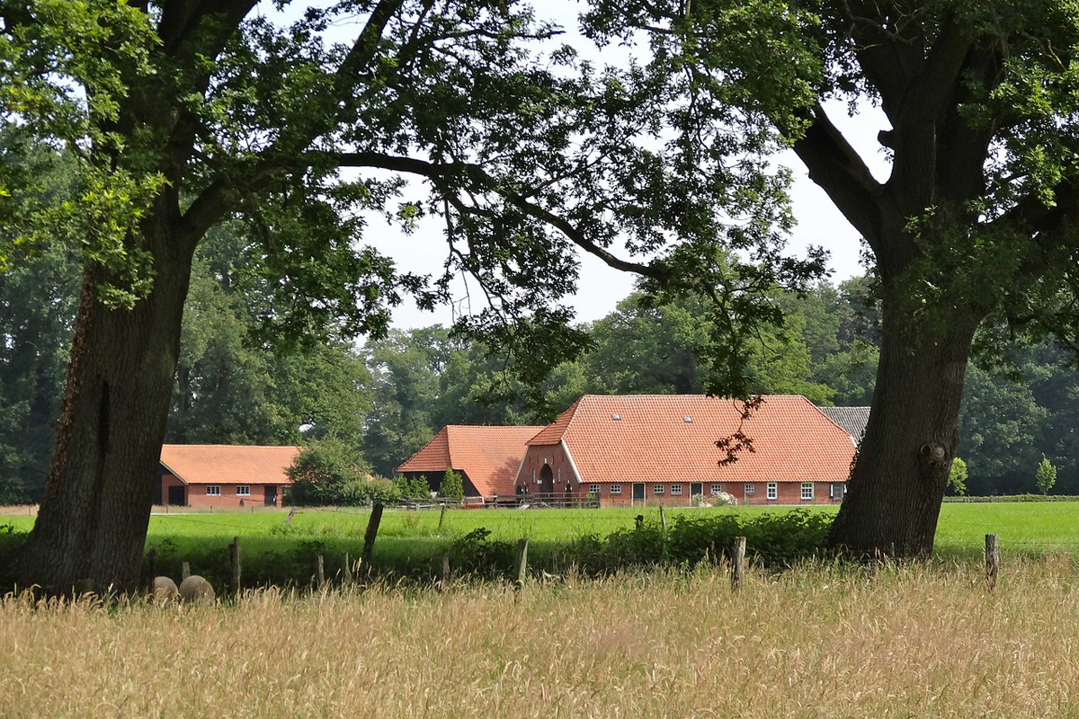 afbeelding van boerderijen en akkers in Twickel.