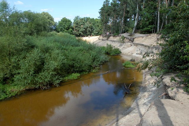 De Dinkel in het Lutterzand.