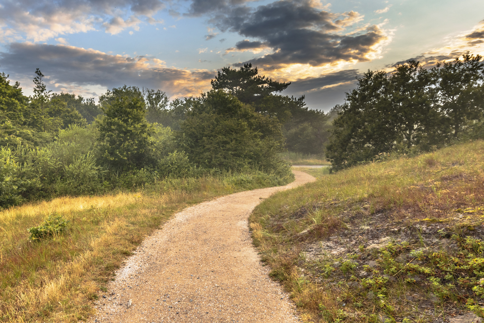 onverhard wandelpad in duingebied met struiken en gras in Callantsoog.