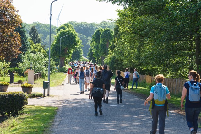 afbeelding van een groep wandelaars in het groen.