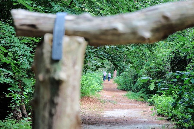 afbeelding van het bos bij Etten-Leur, richting het vennengebied