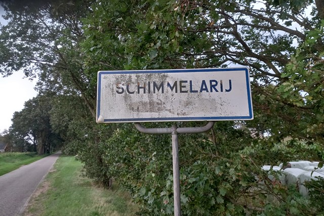 Schimmelarij in Drenthe