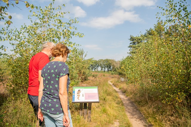 Ringgrafheuvel uit de Bronstijd