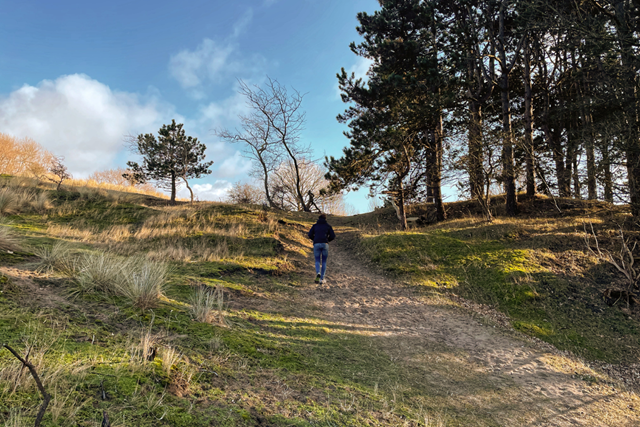 Wandelen Amsterdamse Waterleidingduinen