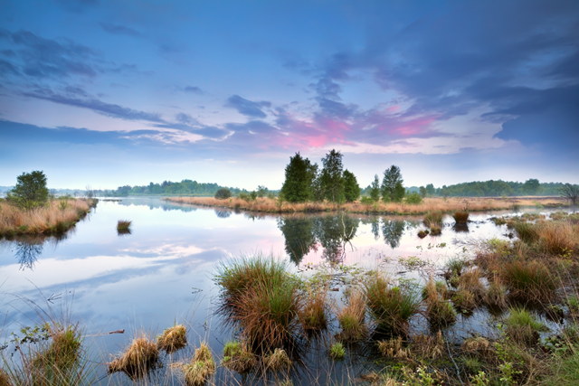 Wandelvakantie Drenthe mooiste wandelreizen Nederland