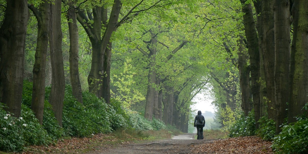 Overijsel Wandelroute Met Reuma (1)