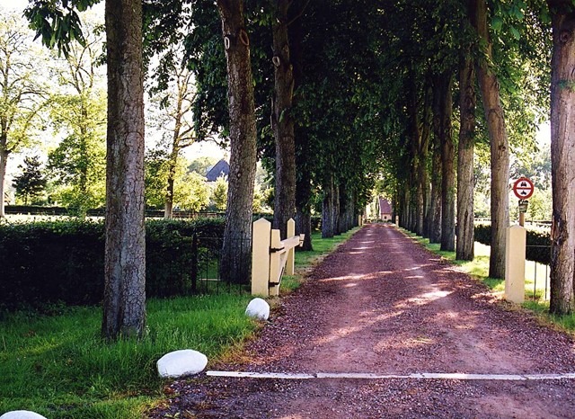 Oprijlaan op Landschoe De Eese