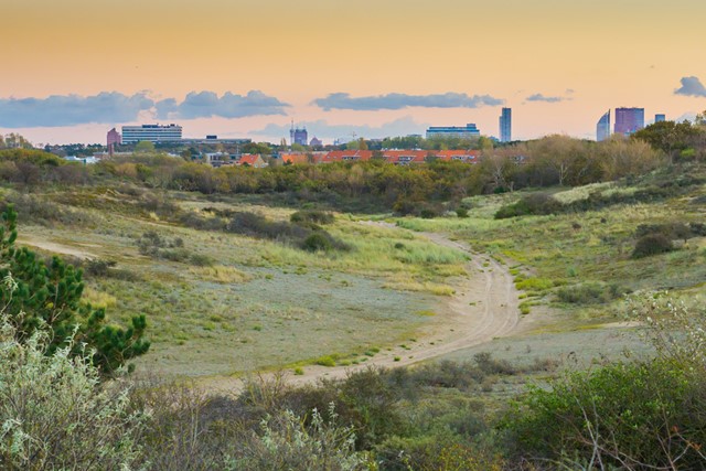 wandelpad door de groene duinen in Scheveningen.