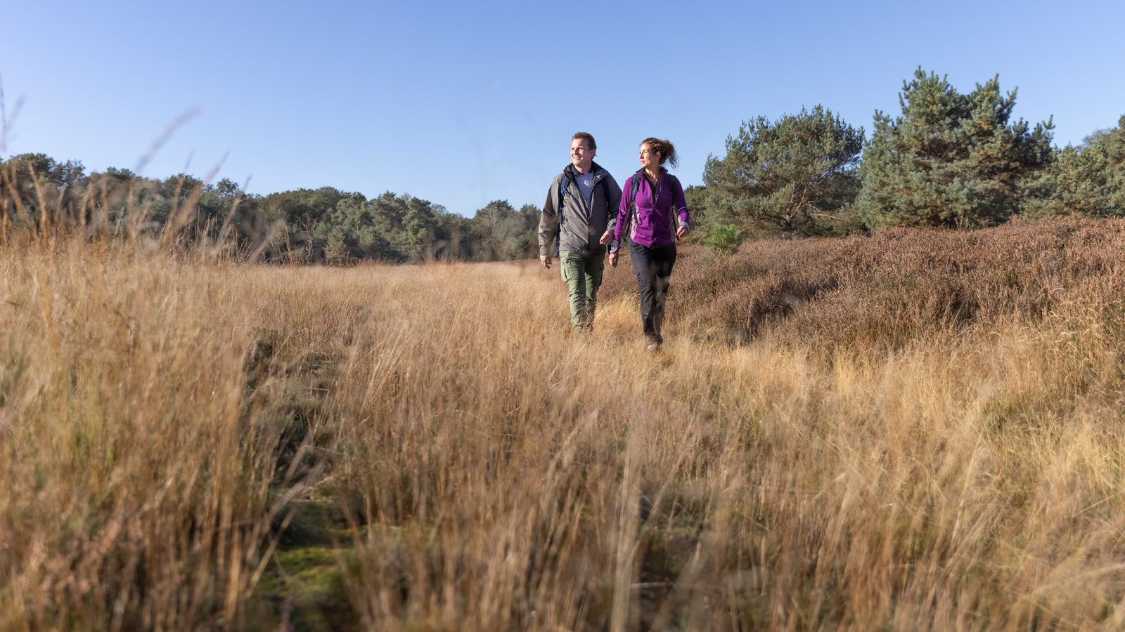 Header Lid Worden Pagina