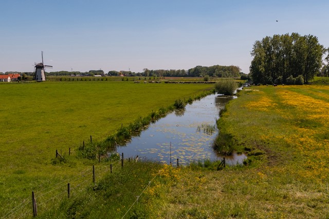 Op het Klompenpad zie je gras, een sloot en de Marsch molen tegen een blauwe lucht.