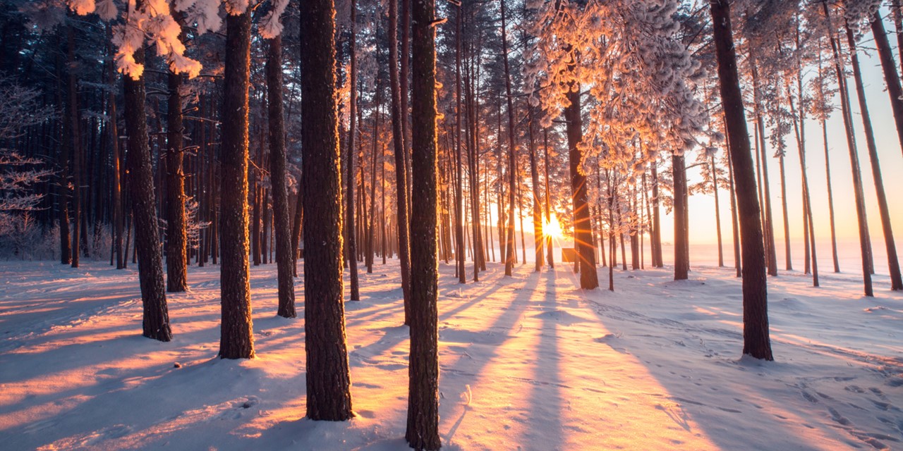Winterwandelen Sneeuwschoenwandelen In Duitsland