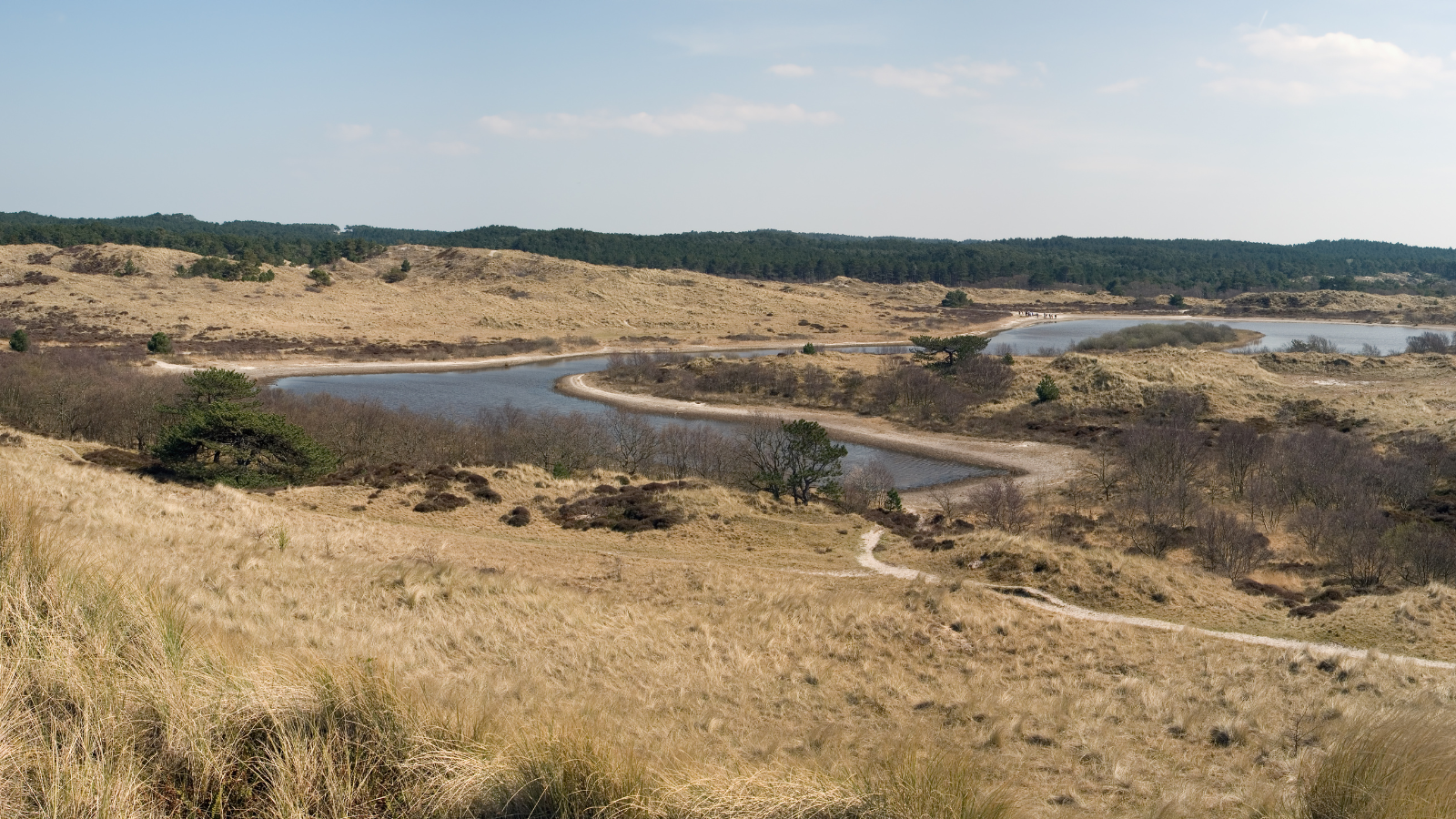 Wandelroute Schoorlse Duinen Noordzeewandeling