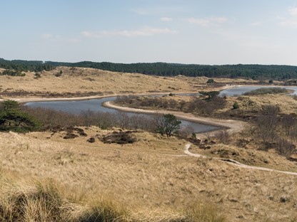 Wandelroute Schoorlse Duinen Noordzeewandeling