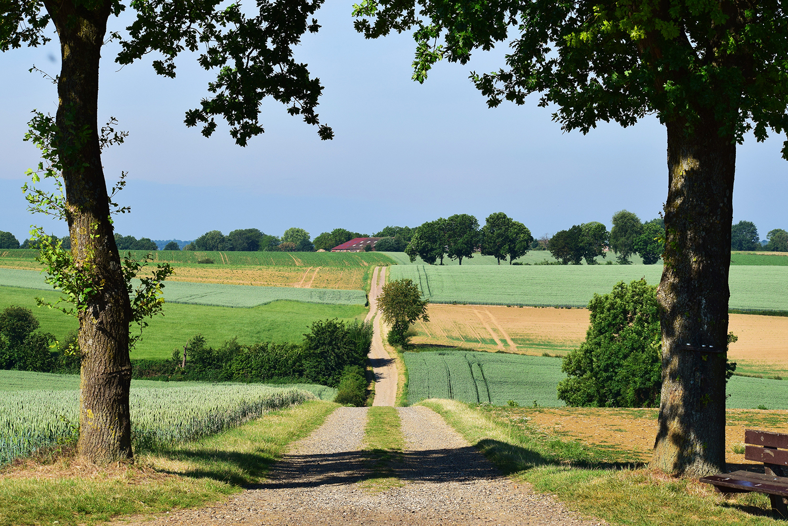 Heuvel op, heuvel af in Zuid-Limburg