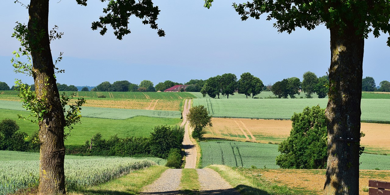 Heuvel op, heuvel af in Zuid-Limburg