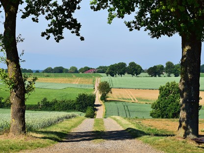 Heuvel op, heuvel af in Zuid-Limburg