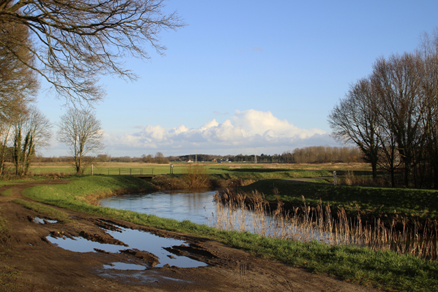 Wandelen In Vlaanderen (België) Vlaams Brabant 3. Demerbroeken Ruig En Modderig Natuurgebied