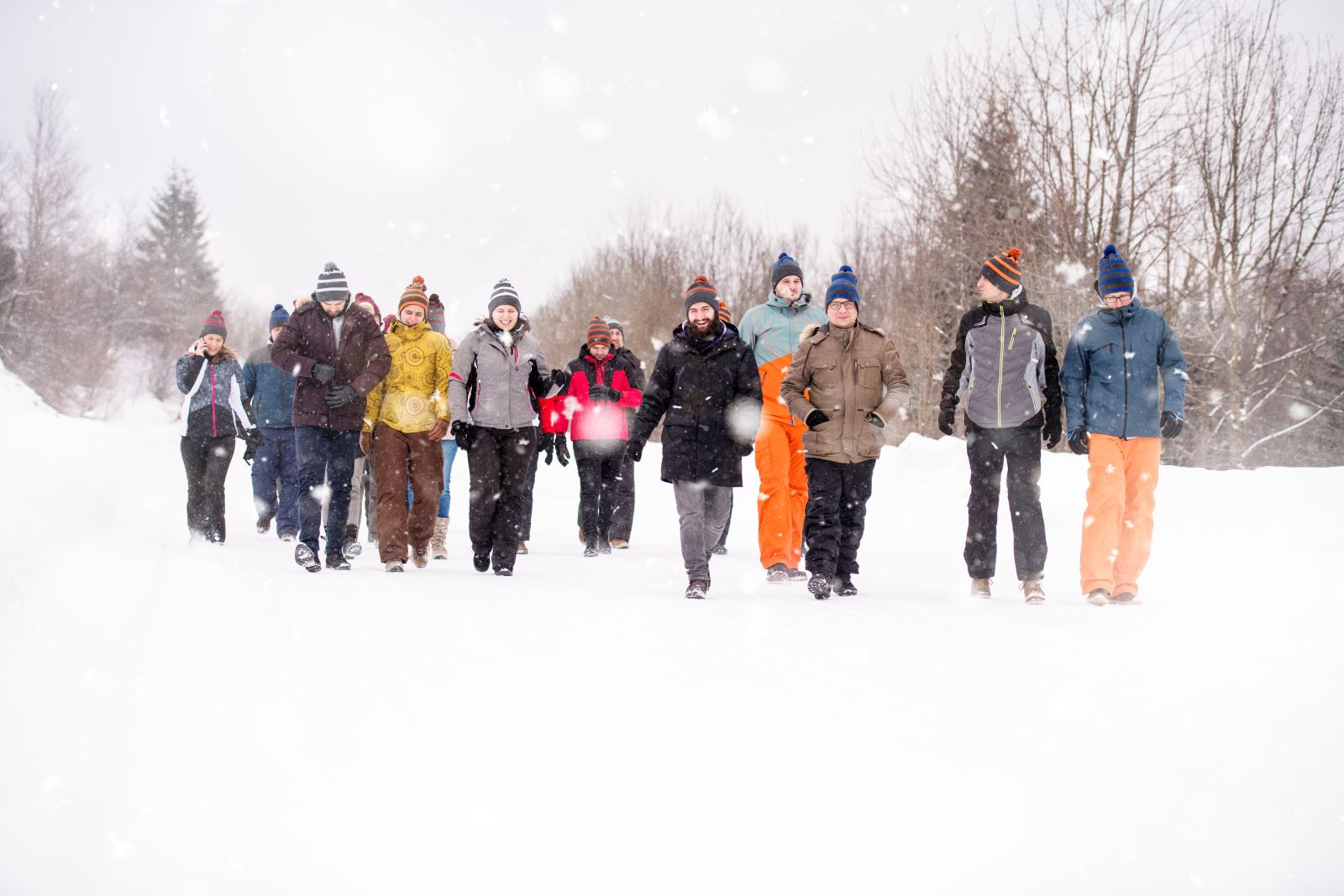 Winterwandeltochten; groep wandelaars