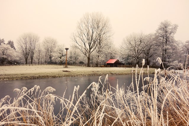 Winters landschap