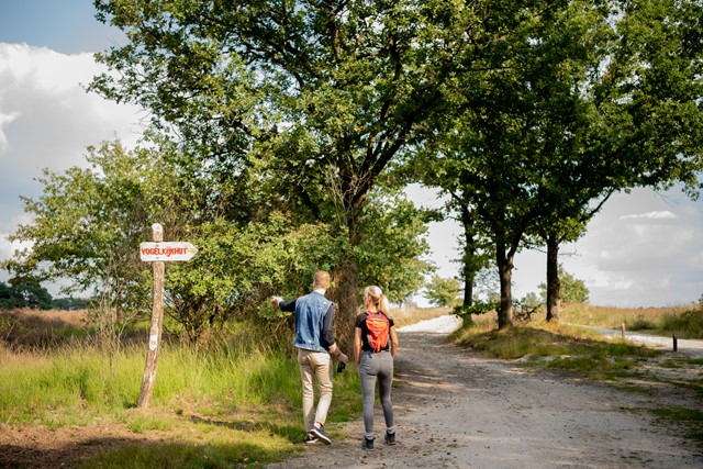 Top 8 Mooiste Wandelingen In Grensland De Baronie Regte Heide
