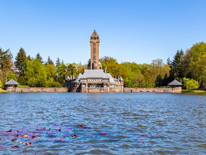 Wandelen Hoge Veluwe 5X De Mooiste Wandelroutes
