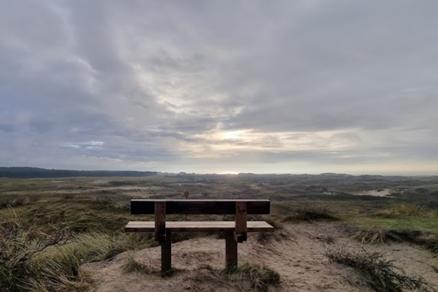 Boswachterspad Zeeland Meeuwenduinen Wandelen In De Herfst