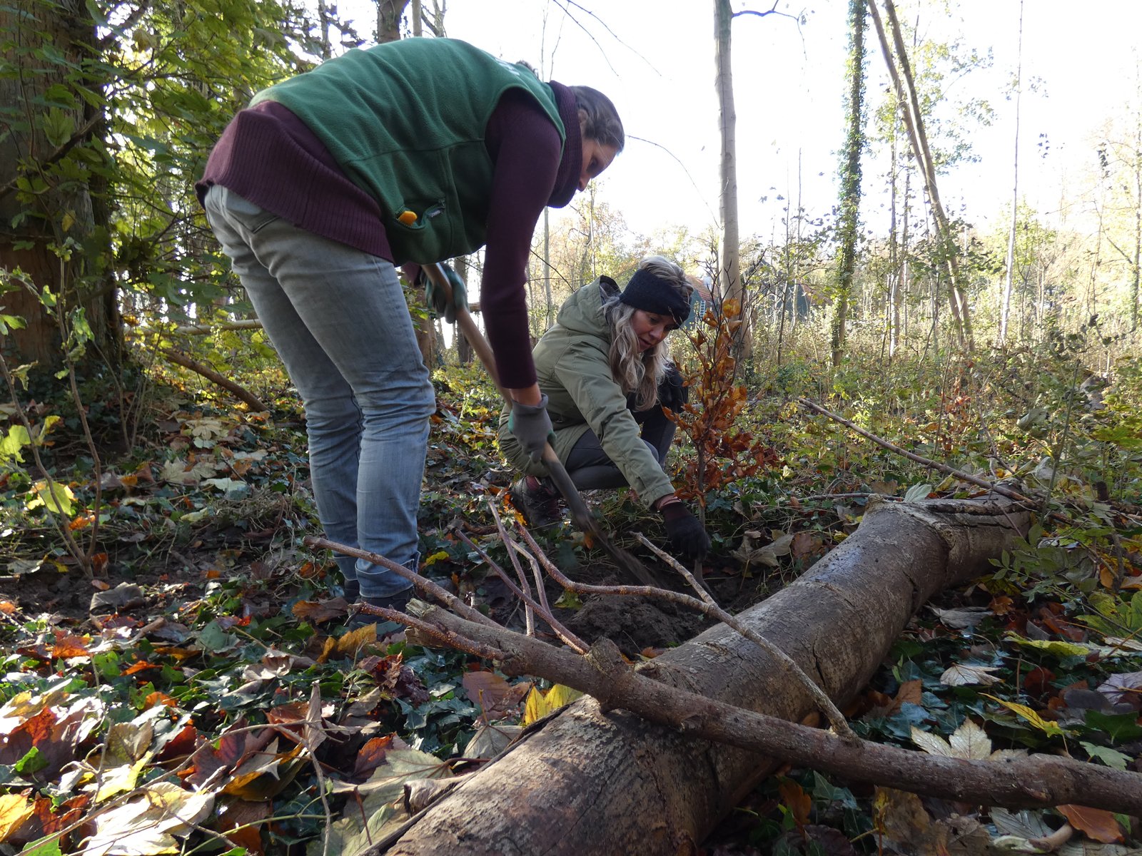 Bomen planten met Hanwag en Life Terra.