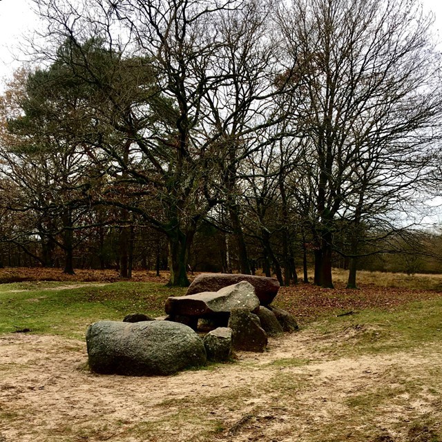 Wandelen over de heide bij de Drentse etappe van het Pieterpad