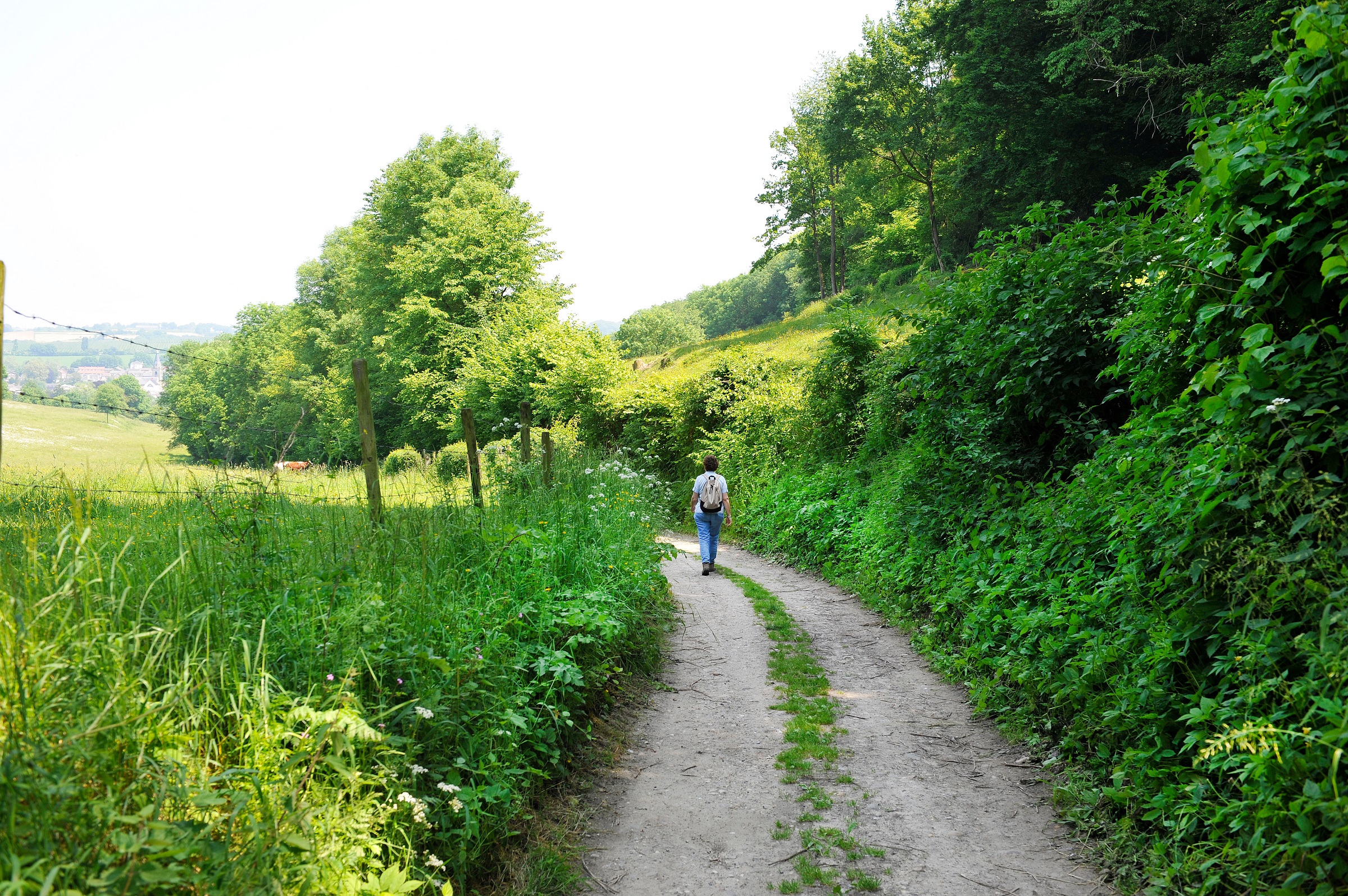 Wandelen in Zuid-Limburg