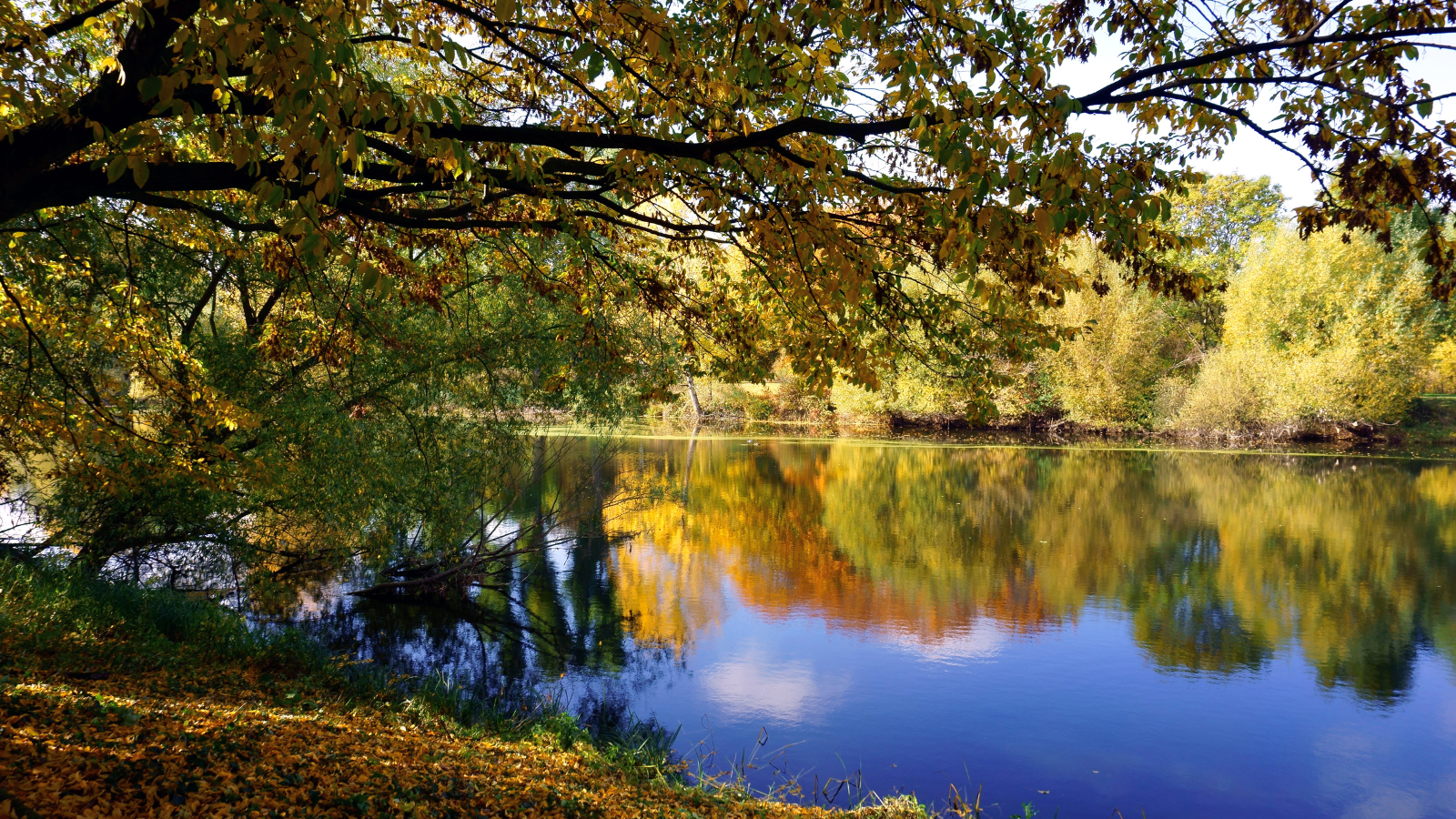 Wandelen In De Nazomer Tips En Routes