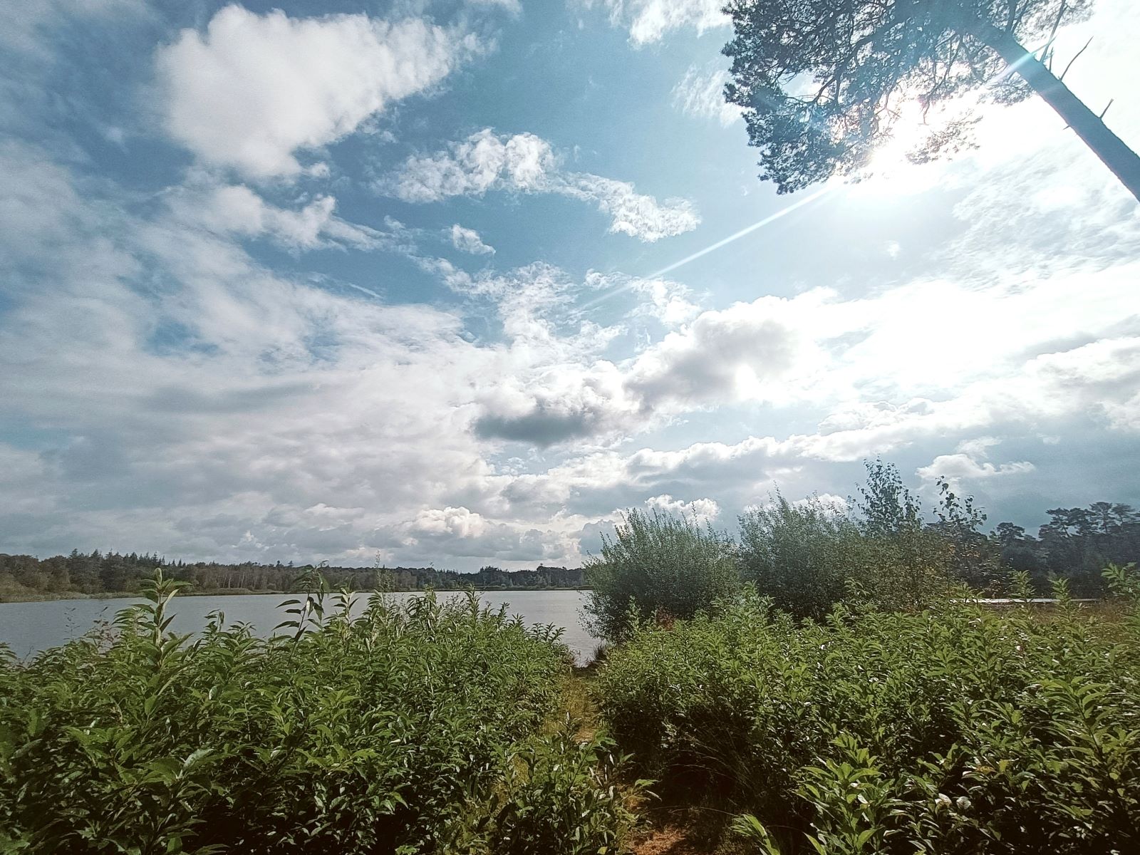 Het Oranje Nassaupad Etappe 1: Ven Ossengoor