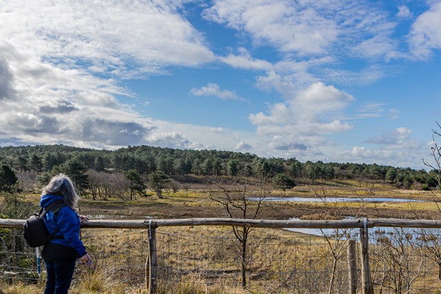 wandelaar kijkt uit over de duinen in Schoorl.