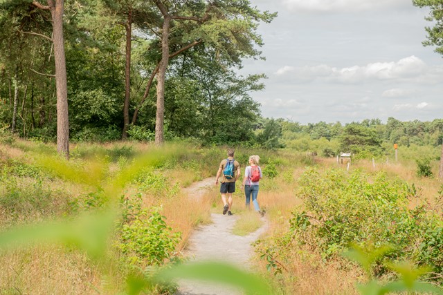 Top 8 Mooiste Wandelingen In Grensland De Baronie Strijbeekse Heide