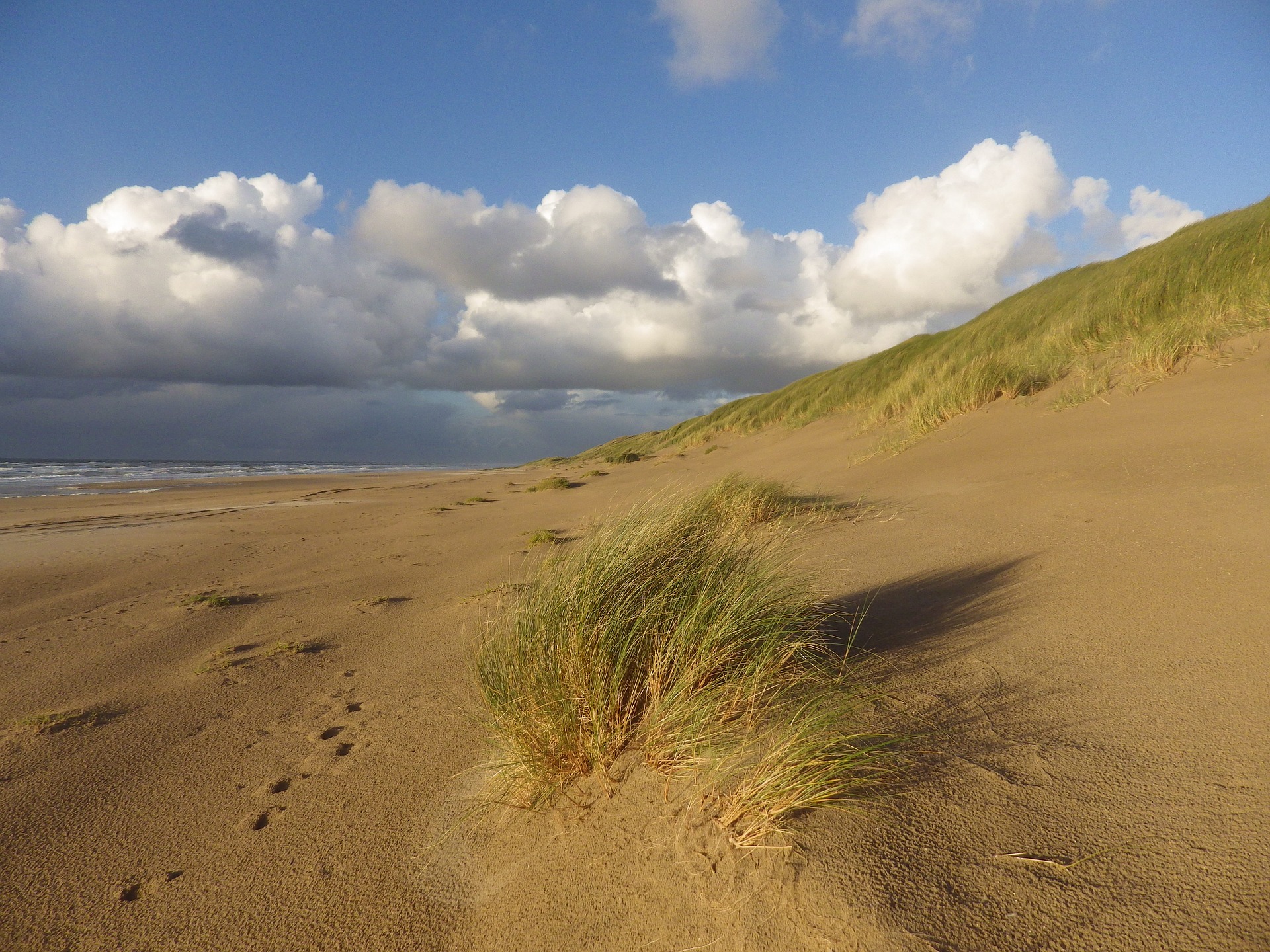 Noordzee | Schoorl | Egmond | Natuur
